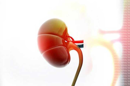 Khi mới có vấn đề về bệnh thận, ba bộ phận trên cơ thể sẽ phát ra mùi đặc biệt, đừng bỏ qua