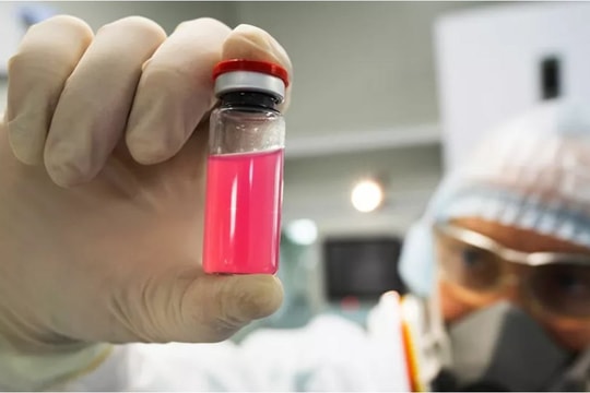 Nga bắt đầu sản xuất vaccine ngừa COVID-19 đầu tiên dành cho động vật 