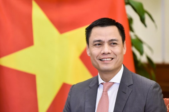 Tháng Chủ tịch Hội đồng Bảo an của Việt Nam đã thành công tốt đẹp