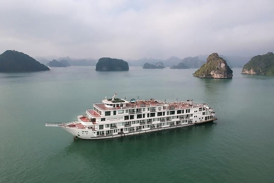 Cách ly hàng trăm người trên một du thuyền tại vịnh Hạ Long