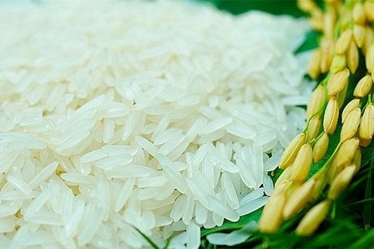 Gạo Việt Nam cần có chiến lược thương hiệu phù hợp với từng thị trường