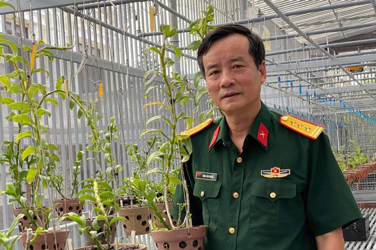 Nghệ nhân Đồng Chiến chia sẻ bí quyết chăm sóc lan giống hiệu quả tại nhà