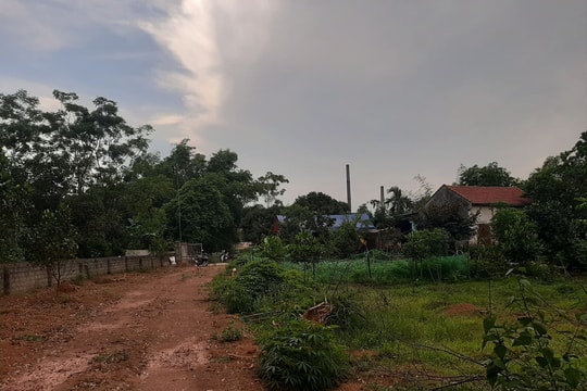 Dùng súng tự chế bắn chú tử vong, anh họ trọng thương