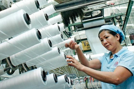 Ấn Độ không áp thuế chống bán phá giá với tơ sợi nhân tạo của Việt Nam