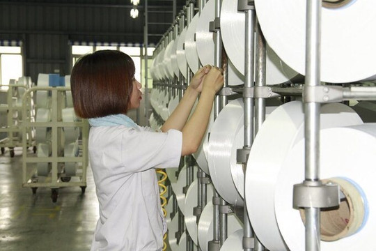 Xơ sợi nhân tạo Việt Nam 'thoát' thuế chống bán phá giá tại Ấn Độ