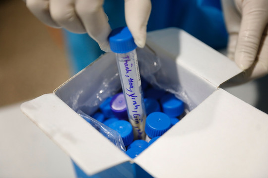 Virus nCoV ở Hà Nội, Hưng Yên, Thái Bình là biến chủng Ấn Độ