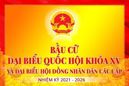Công dân sinh sống ở nước ngoài tham gia bầu cử thế nào?