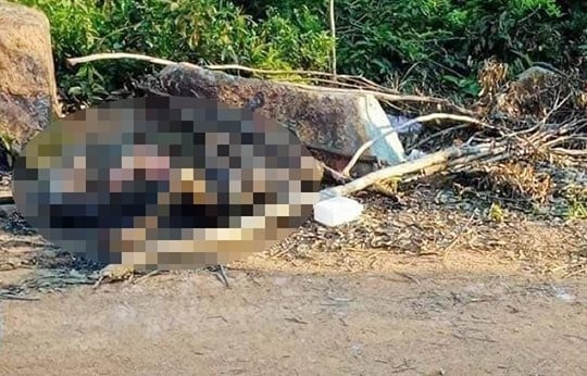 Điều tra nguyên nhân vụ người đàn ông chết cháy trong nghĩa trang ở Hà Tĩnh