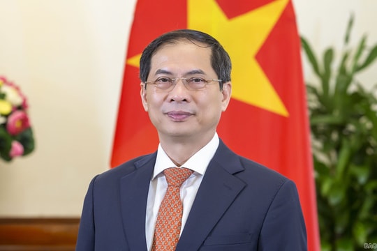 Bộ trưởng Bùi Thanh Sơn: Cơ quan đại diện Việt Nam ở nước ngoài không hoang mang, dao dộng, kiên trì chống dịch