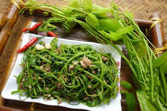 Cao Bằng: Độc đáo những món ăn ngon từ rau rừng