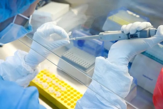 Việt Nam mong muốn các quốc gia chia sẻ thông tin miễn trừ bản quyền đối với vaccine COVID-19