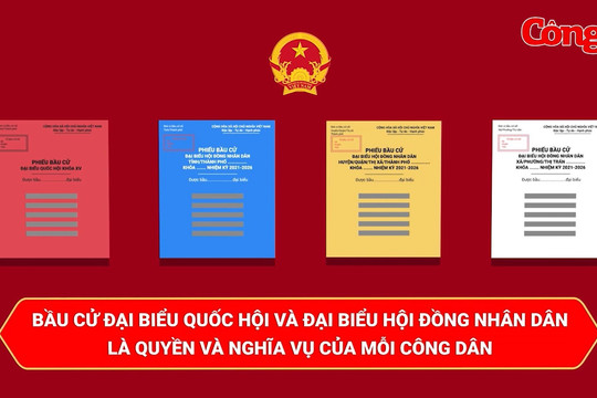 Clip: 'Quy trình 6Đ' bầu cử đại biểu Quốc hội và đại biểu Hội đồng nhân dân các cấp