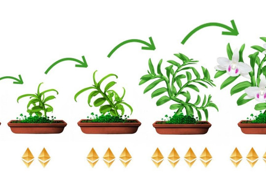 NFT tạo ra cuộc cách mạng trong kinh doanh lan đột biến ở Việt Nam