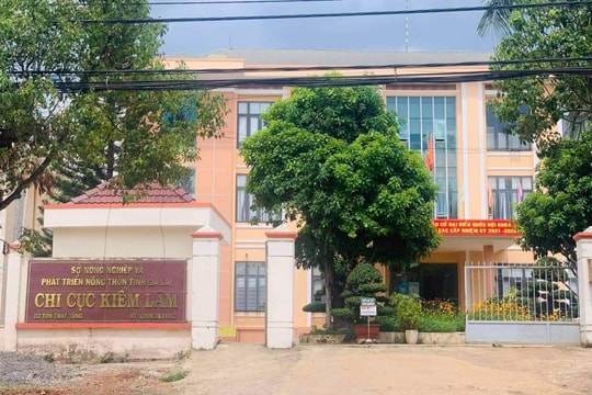 Phát hiện sai phạm nghiêm trọng tại Chi cục Kiểm lâm Gia Lai