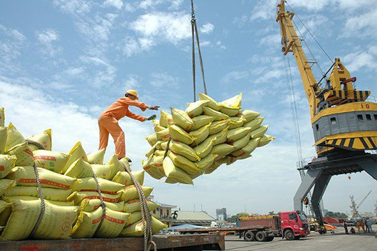Xuất khẩu gạo tăng trưởng bất chấp đại dịch