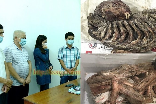Ninh Bình: Bắt 4 đối tượng đánh bạc, phát hiện 1 bộ xương hổ trị giá 300 triệu đồng