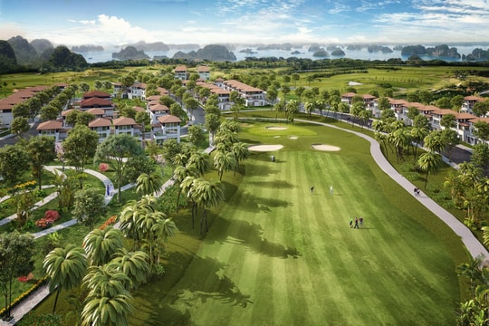 Mở bán giai đoạn cuối biệt thự đồi hướng vịnh, sân golf FLC Grand Villa Halong
