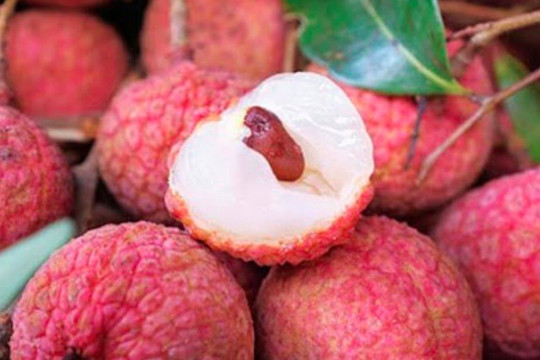Lô vải thiều đầu tiên qua đường hàng không của Việt Nam đã đến thị trường Nhật Bản