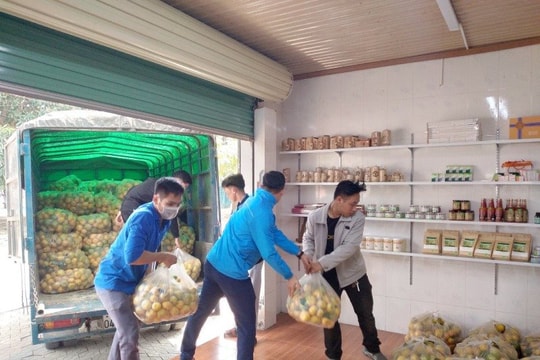 Nghệ An gỡ khó cho nông sản mùa dịch COVID-19