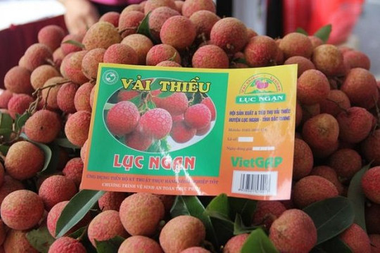 Xem xét bố trí làm cả ngày nghỉ để cấp C/O cho nông sản xuất khẩu
