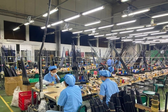 Đà Nẵng: Doanh nghiệp chủ động đương đầu với đại dịch Covid-19