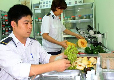 Từ 5/7, có 6 trường hợp được miễn phí kiểm dịch thực vật