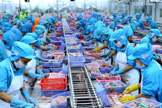 Xuất khẩu thuỷ sản 5 tháng tăng trưởng ấn tượng