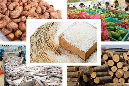 5 tháng đầu năm 2021, xuất khẩu nông lâm thủy sản đạt gần 23 tỷ USD