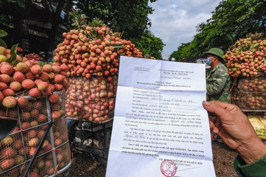Kiến nghị nhiều giải pháp tháo gỡ khó khăn cho thu mua nông sản