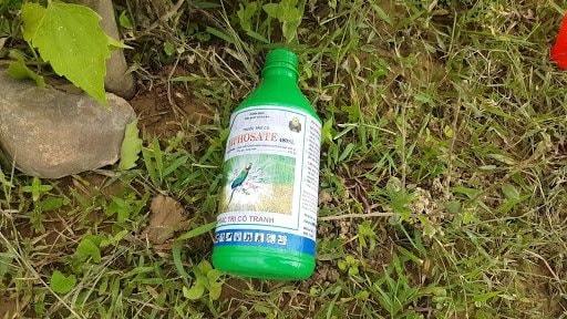 Bực tức vì bị chửi bới thậm tệ, chồng đổ thuốc trừ sâu vào canh cho vợ uống