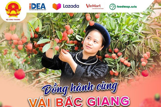 Siêu thị "bắt tay" sàn thương mại điện tử hỗ trợ tiêu thụ vải thiều