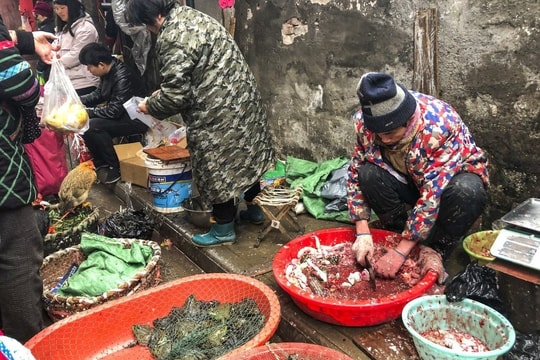 Tin vắn thế giới ngày 11/6: 47.000 động vật hoang dã được bán tại chợ Vũ Hán trước khi COVID-19 bùng phát