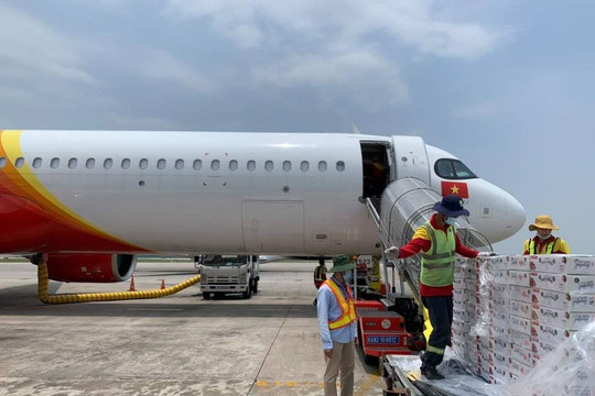 Vietjet và Swift247 vận chuyển vải thiều Bắc Giang tới nhiều thị trường trong nước và quốc tế