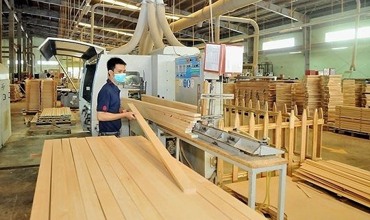 Ấn Độ thông báo rà soát cuối kỳ lệnh áp thuế chống bán phá giá ván sợi xuất xứ từ Việt Nam