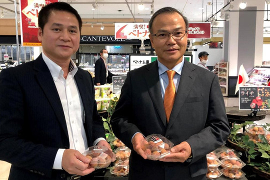 Việt Nam thực hiện đa dạng hình thức quảng bá đặc sản vải thiều tại thị trường Nhật Bản