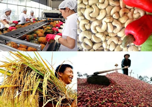 Bảo đảm nông sản lưu thông an toàn trong đại dịch