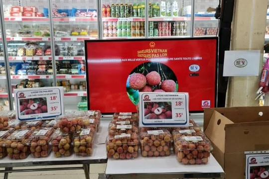 Các kênh phân phối tại Pháp sẽ đẩy nhanh kế hoạch nhập khẩu vải thiều Việt Nam