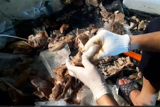 Triệt phá đường dây giấu ma túy trong dạ dày lợn để tuồn ra nước ngoài