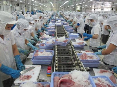 Tháng 5/2021, kim ngạch xuất khẩu thủy sản của Việt Nam đạt hơn 790 triệu USD