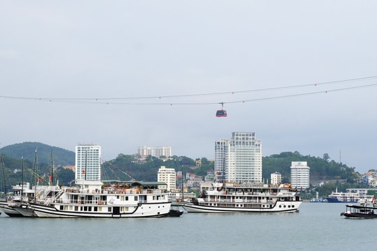 Quảng Ninh miễn vé tham quan vịnh Hạ Long