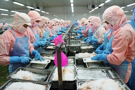 Dự báo triển vọng xuất khẩu nửa cuối năm 2021