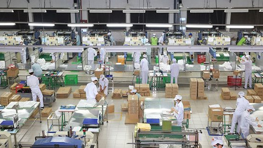 Việt Nam có 11,3 nghìn doanh nghiệp thành lập mới trong tháng 6/2021