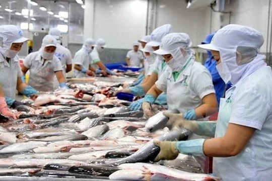 Mỹ ban hành kết luận cuối cùng của đợt rà soát chống bán phá giá cá tra, basa Việt Nam