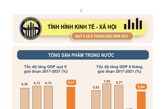 Infographic: GDP quý II/2021 ước tính tăng 6,61%