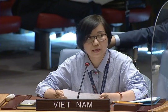 Việt Nam ủng hộ chống phổ biến và giải trừ vũ khí huỷ diệt hàng loạt