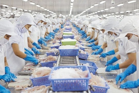 Kim ngạch xuất khẩu thủy sản 2021 có thể đạt 9 tỷ USD