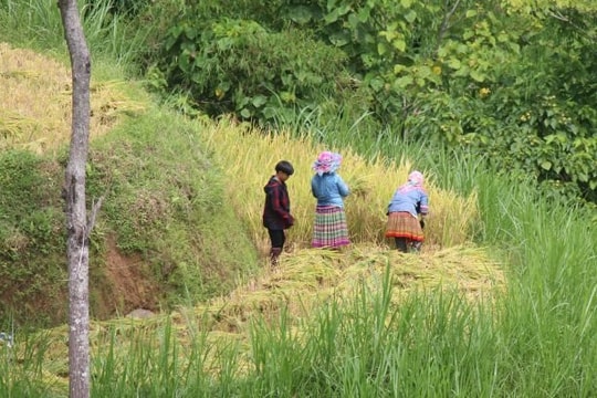 Triển khai chính sách cho đồng bào dân tộc: Đừng hình thức, làm cho xong
