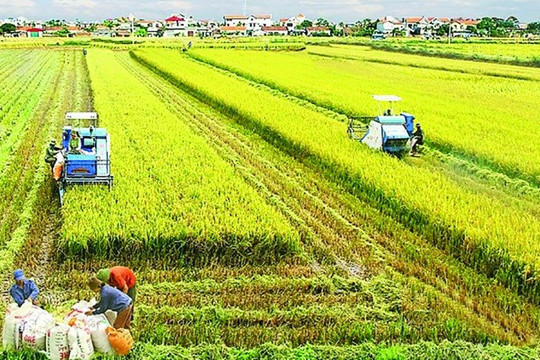 Tăng trưởng đa giá trị trong ngành nông nghiệp bằng cú hích chuyển đổi số