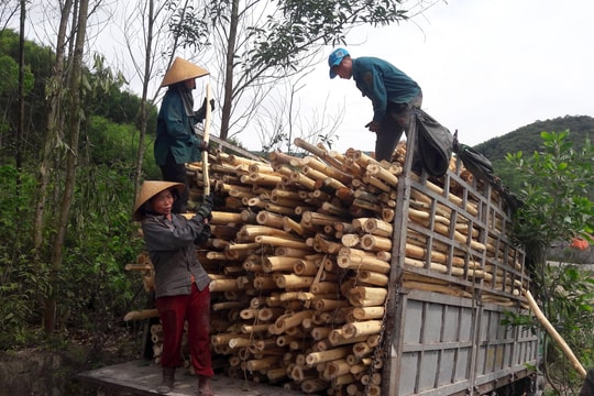 Phận “phu keo” vất vả mưu sinh trong những ngày nắng nóng 