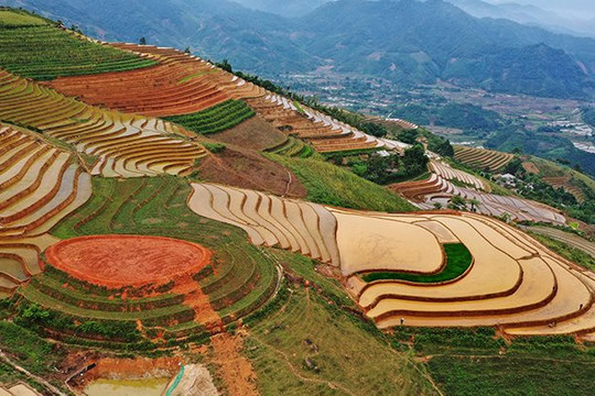 Yên Bái có thêm một quần thể ruộng bậc thang mới